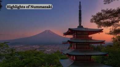 Highlights of Nummazaki