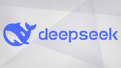 deepseekplay com logo