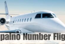 zopalno number flight